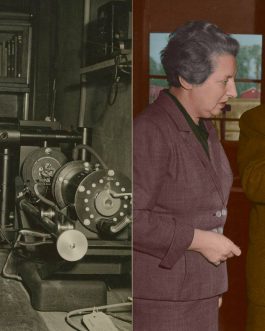 Advanced Colourisation, Solihull and Birmingham, west midlands